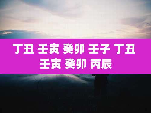 丁丑 壬寅 癸卯 壬子 丁丑 壬寅 癸卯 丙辰