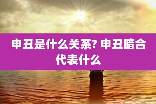 申丑是什么关系? 申丑暗合代表什么