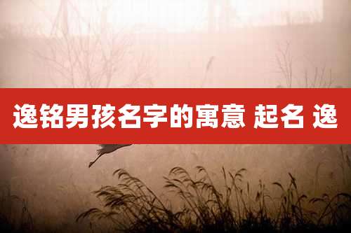 逸铭男孩名字的寓意 起名 逸
