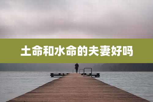 土命和水命的夫妻好吗