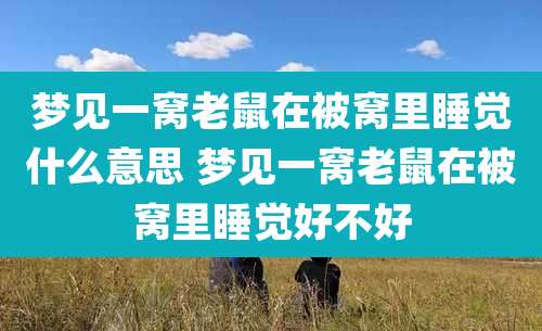 梦见一窝老鼠在被窝里睡觉什么意思 梦见一窝老鼠在被窝里睡觉好不好