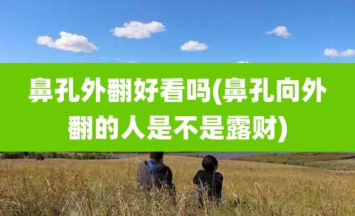 鼻孔外翻好看吗(鼻孔向外翻的人是不是露财)