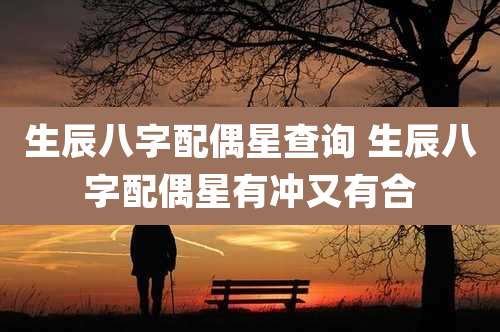 生辰八字配偶星查询 生辰八字配偶星有冲又有合