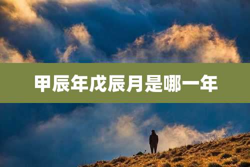 甲辰年戊辰月是哪一年