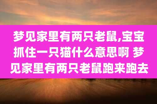 梦见家里有两只老鼠,宝宝抓住一只猫什么意思啊 梦见家里有两只老鼠跑来跑去