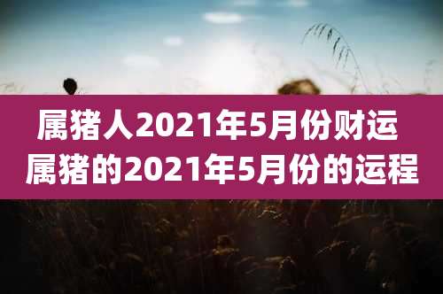 属猪人2021年5月份财运 属猪的2021年5月份的运程