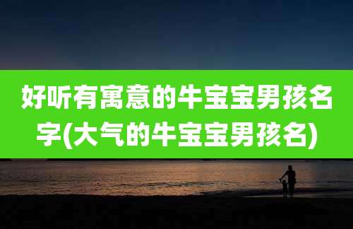 好听有寓意的牛宝宝男孩名字(大气的牛宝宝男孩名)