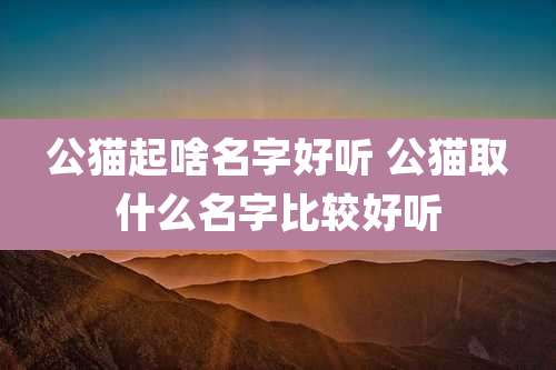 公猫起啥名字好听 公猫取什么名字比较好听