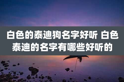 白色的泰迪狗名字好听 白色泰迪的名字有哪些好听的
