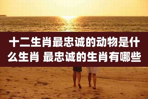 十二生肖最忠诚的动物是什么生肖 最忠诚的生肖有哪些