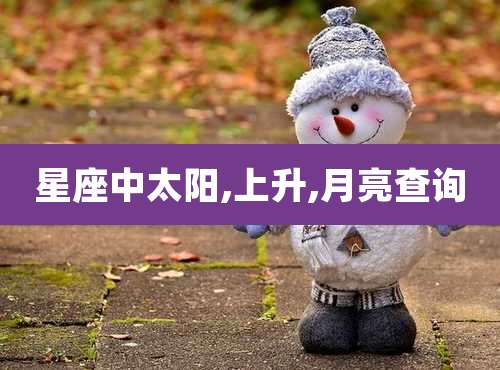 星座中太阳,上升,月亮查询