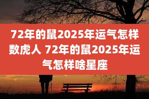 72年的鼠2025年运气怎样数虎人 72年的鼠2025年运气怎样啥星座