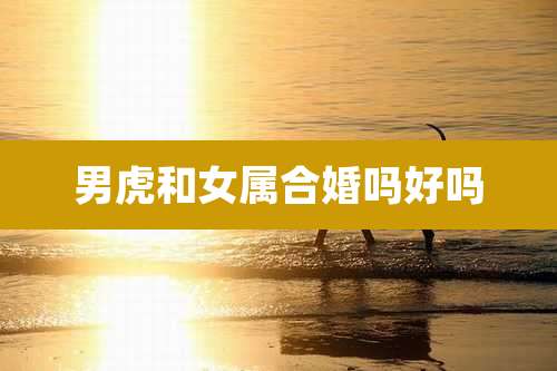男虎和女属合婚吗好吗