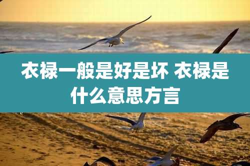 衣禄一般是好是坏 衣禄是什么意思方言