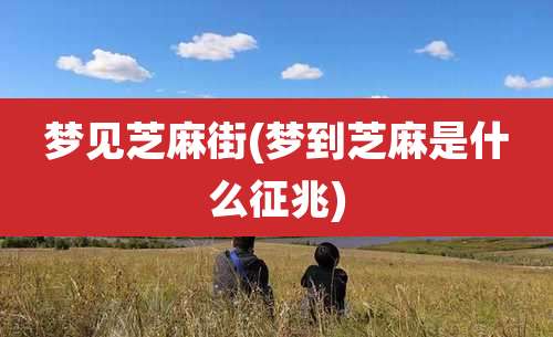 梦见芝麻街(梦到芝麻是什么征兆)