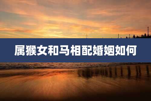 属猴女和马相配婚姻如何