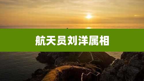 航天员刘洋属相