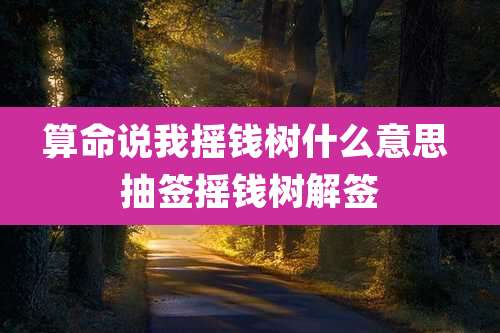 算命说我摇钱树什么意思 抽签摇钱树解签