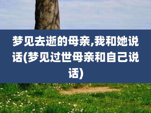 梦见去逝的母亲,我和她说话(梦见过世母亲和自己说话)