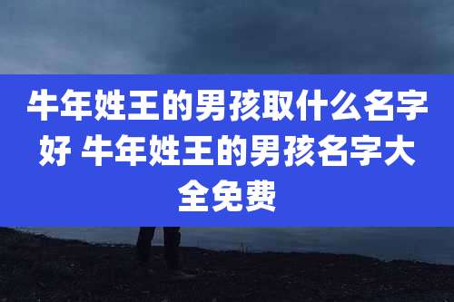 牛年姓王的男孩取什么名字好 牛年姓王的男孩名字大全免费