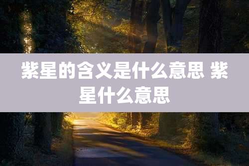 紫星的含义是什么意思 紫星什么意思