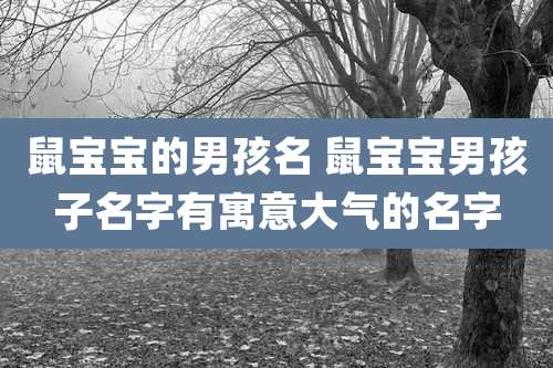 鼠宝宝的男孩名 鼠宝宝男孩子名字有寓意大气的名字