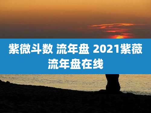 紫微斗数 流年盘 2021紫薇流年盘在线