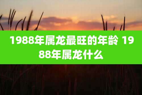 1988年属龙最旺的年龄 1988年属龙什么