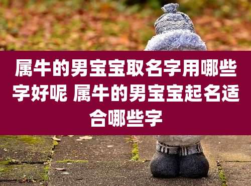 属牛的男宝宝取名字用哪些字好呢 属牛的男宝宝起名适合哪些字