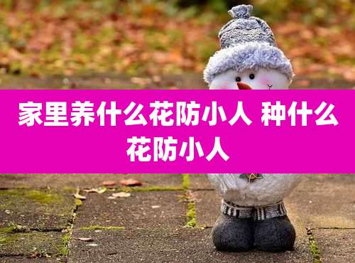 家里养什么花防小人 种什么花防小人