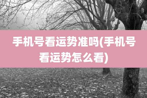 手机号看运势准吗(手机号看运势怎么看)