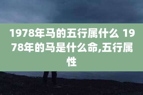 1978年马的五行属什么 1978年的马是什么命,五行属性