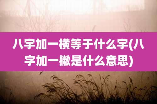 八字加一横等于什么字(八字加一撇是什么意思)