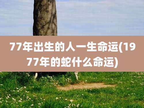 77年出生的人一生命运(1977年的蛇什么命运)