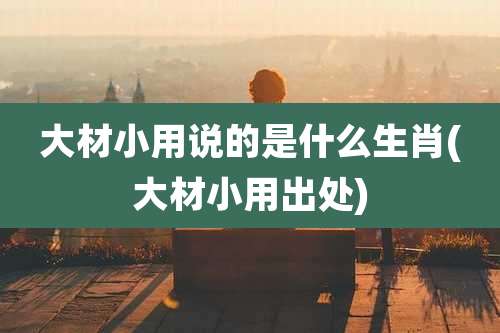 大材小用说的是什么生肖(大材小用出处)