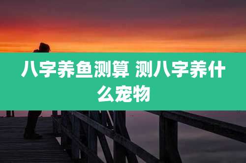 八字养鱼测算 测八字养什么宠物