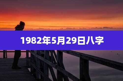 1982年5月29日八字