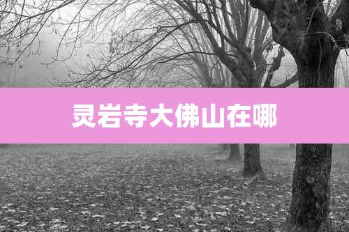 灵岩寺大佛山在哪