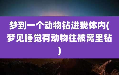 梦到一个动物钻进我体内(梦见睡觉有动物往被窝里钻)