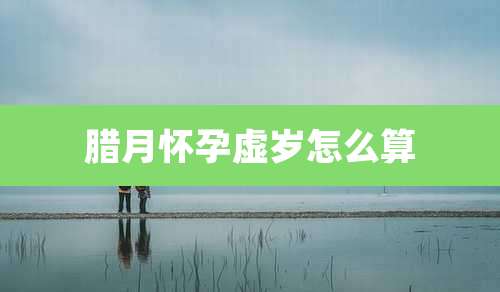 腊月怀孕虚岁怎么算