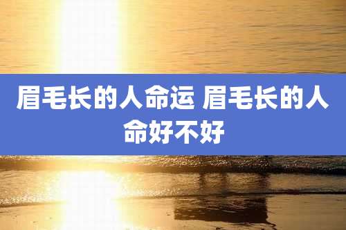眉毛长的人命运 眉毛长的人命好不好