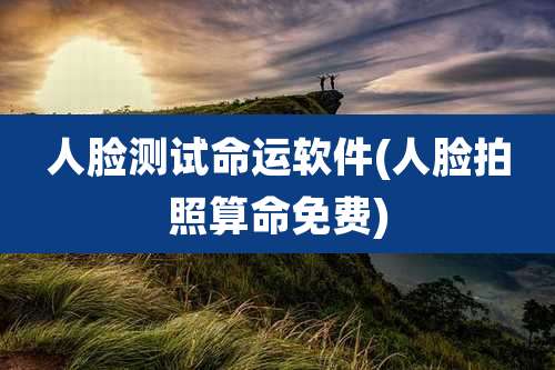 人脸测试命运软件(人脸拍照算命免费)