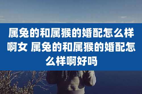 属兔的和属猴的婚配怎么样啊女 属兔的和属猴的婚配怎么样啊好吗