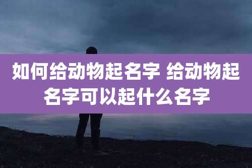 如何给动物起名字 给动物起名字可以起什么名字