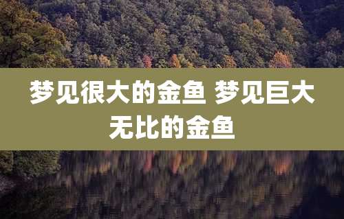 梦见很大的金鱼 梦见巨大无比的金鱼