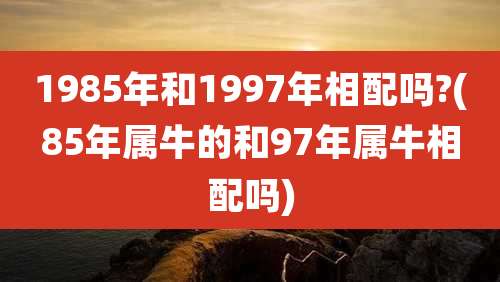 1985年和1997年相配吗?(85年属牛的和97年属牛相配吗)