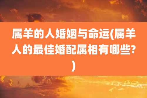属羊的人婚姻与命运(属羊人的最佳婚配属相有哪些?)