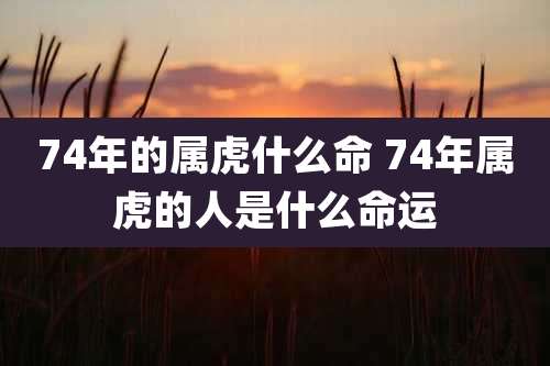74年的属虎什么命 74年属虎的人是什么命运