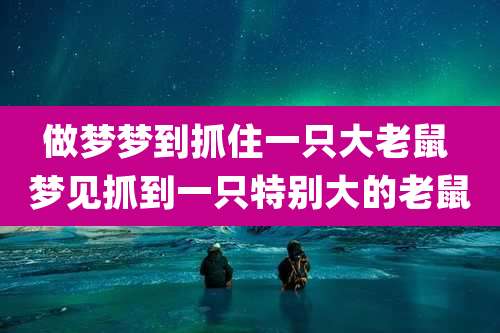 做梦梦到抓住一只大老鼠 梦见抓到一只特别大的老鼠