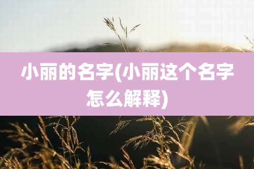 小丽的名字(小丽这个名字怎么解释)